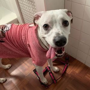 Meet your Posher, Danna